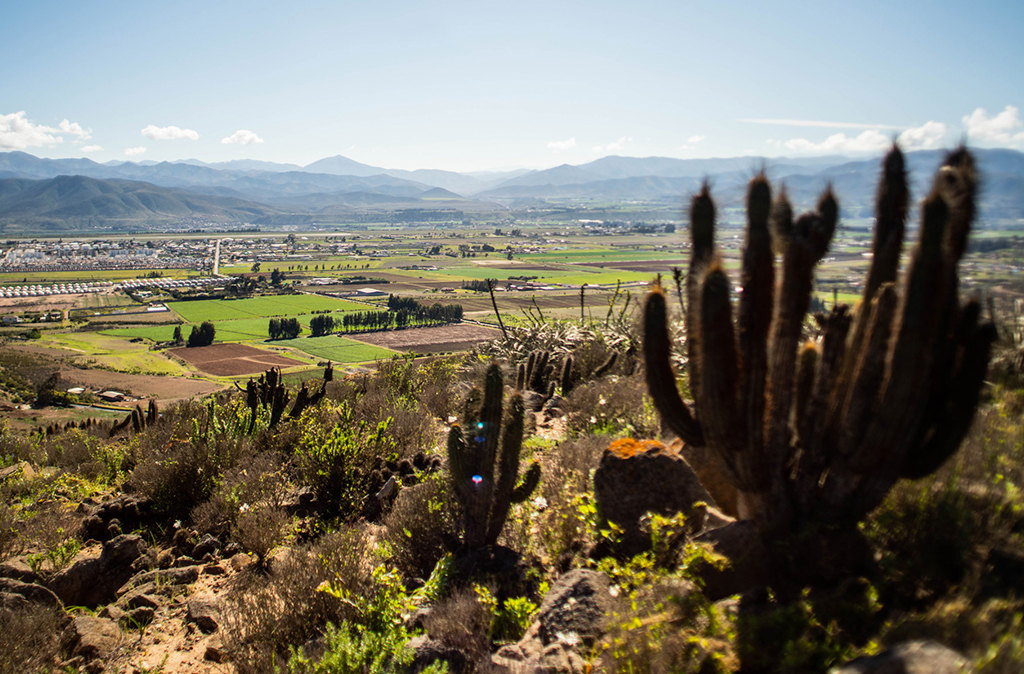 Naturaleza