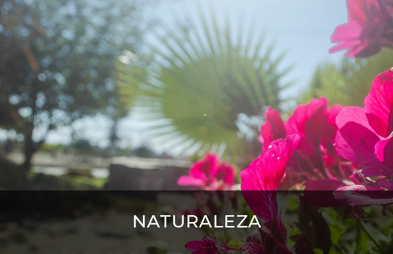 naturaleza